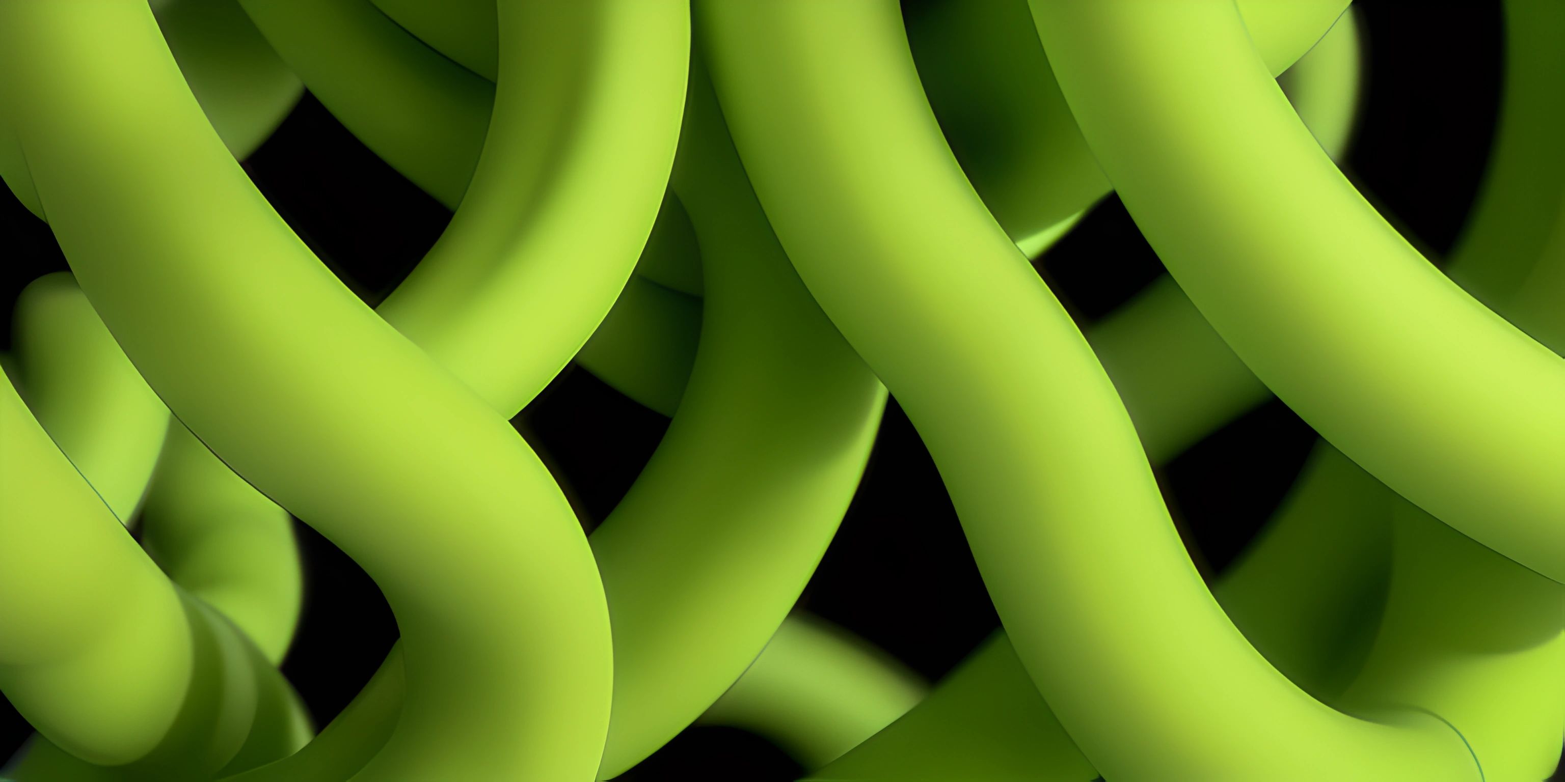 a bunch of long green vines are growing together in the dark room, creating an abstract pattern